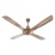 Antique Copper