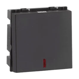 Havells Fabio 32A DP Switch With Indicator Black