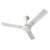 Pearl White Gold