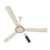 Seasand Ivory