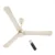Seasand Ivory