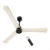 Seasand Ivory & Black