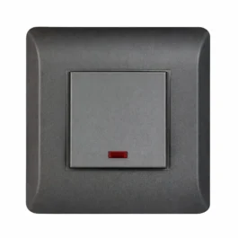 Havells Coral Ebony Combined Plate 18M Grey